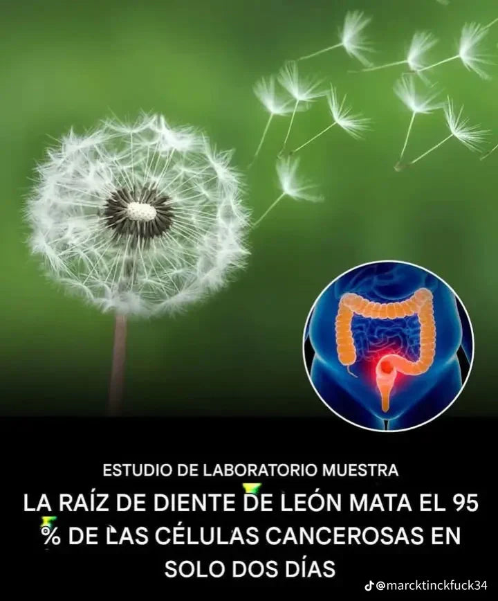 Diente De Leon 300mg 60 Cápsulas